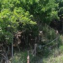 제 608차 경남 부산 가덕도 바닷가 걷기 좋은 해변 트레킹(10월28일)안내 이미지