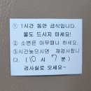 임신24주 | 아기생기고 처음 친정다녀온 후기 (ft. G90 탑승기 / 맛집탐방)