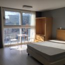 서홍동-6 Daum카페