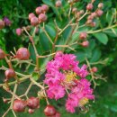 (주)지음커뮤니케이션 이미지