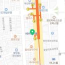부산강아지분양 고양이분양 베스트펫 본점 이미지