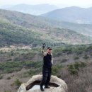 금샘 Daum카페
