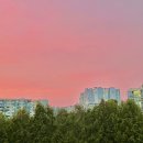 은성인터내셔날 | 주간일기 챌린지 15