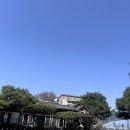 농산물주유소 | 춘천 항아리닭갈비 본점 방문후기/춘천 닭갈비 맛집/춘천 닭갈비 현지인 맛집