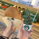 이순신광장 | 여수 딸기모찌 맛집 추천 이순신광장 근처 디저트 포장 후기 여수맛나당 딸기모찌&amp;문어빵