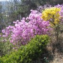 산하이불 이미지