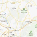 땡큐마이독