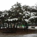 석천공원 이미지