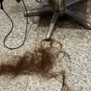 빛나 | [부산 진구] 전포 카페거리 미용실 전포 무브헤어 | 클리닉 커트 만족 후기 (빛나 디자이너)