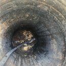 스피드크리닝 이미지