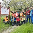 외연도 달래 산나물 천국 신대륙 발견 1박2일 (당산) 240423 이미지