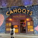 Pet shop 헤어 Queen | theO2밀레니엄돔,위타드초콜릿, lindt chocolate shop, 테이트모던 박물관, 버로우마켓,hms 빌페스트...