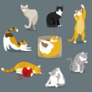 수목원동물병원 이미지