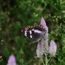 수석행정사사무소 이미지