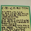 제주 중앙 초등학교 책 전시 했어요. 이미지