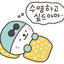 목포실내체육관 실내수영장 이미지