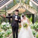 히든 포레 이미지