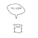 이룸동물병원 이미지