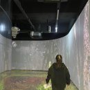 주상절리 전망대 화장실 이미지