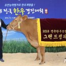 챔피언농장 이미지