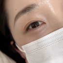 원주속눈썹펌 멜트브로우 노글루 눈시림 없는 속눈썹펌