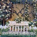 마리아약국 | 피렌체 중앙역 옆 기념품 추천 산타마리아 노벨라 약국