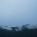 낭만하우스 이미지