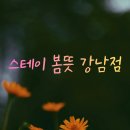스테이봄뜻