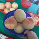 매현농장 이미지