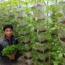 산골짜기농장 이미지