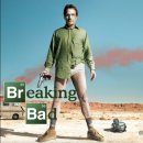 그린 카세차장 | 내 인생 최고의 미드, 브레이킹 배드 시즌1(breaking bad S1) 2008 줄거리 리뷰 후기(스포다수)