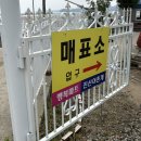 행복마트 | 태안) 진산리 어촌계 갯벌체험장, 행복마트 호미, 장화 대여 구매 후기, 갯벌체험 필수 준비물, 조개...