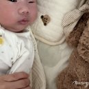 (주)찬스스타트 이미지