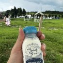 제주 성이시돌 유기농 우유 아기랑 맛보기, 제주 우유부단