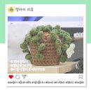 살구공방 | 코바늘뜨기 뜰안뜨개공방 이솝식물키우기 DIY키트 완성 후기