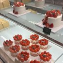 매향농장 | [대구 딸기케이크 맛집] 신세계백화점 시즈니크 딸기케이크 후기 !