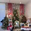 앨리스in동물병원 | 남양주 크리스마스 카페｜봉주르 팔당 (트리, 포토존) 솔직후기