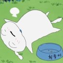 김선생불닭발 이미지