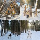 골드팜 | [평창 여행] 모노레일 타고 만나는 알파카 목장 &amp; 애니포레 이용 꿀팁