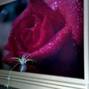 오페라모텔 이미지