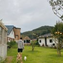 스테이제부(3) 이미지