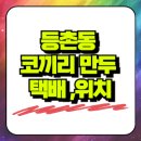 코끼리유통 | 등촌동 코끼리 만두 택배 주문 방법, 위치