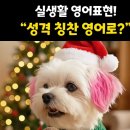 실 생활 영어 이미지