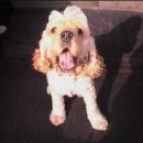 영평상동 마을회관 이미지