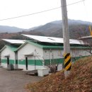 (주)도담투어 이미지