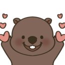 더예쁘지 이미지