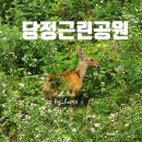 당정역 3번출구 앞 이미지