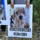 유성동양경매장 이미지