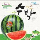 한국농산물포장디자인연구소 | 세종특별자치시 농산물포장디자인 개발 (2013년)