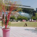 건지어린이공원 주변 이미지